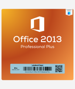 Office 2013 Professional Plus License