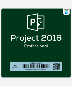 Project 2016 Professional License