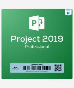 Project 2019 Professional License