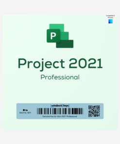 Project 2021 Professional License