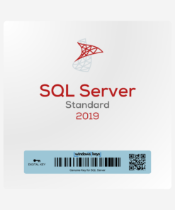 SQL 2019 Standard License