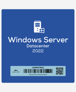 Windows Server 2022 Datacenter License