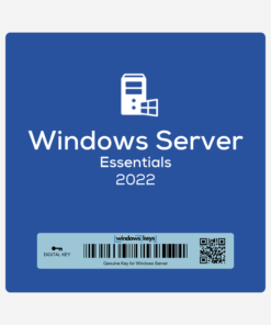 Windows Server 2022 Essentials License