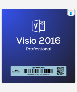 Visio 2016 Professional License