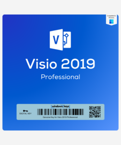 Visio 2019 Professional License