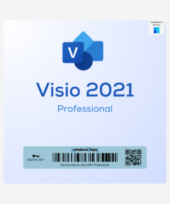 Visio 2021 Professional License