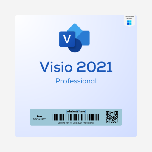 Visio 2021 Professional License