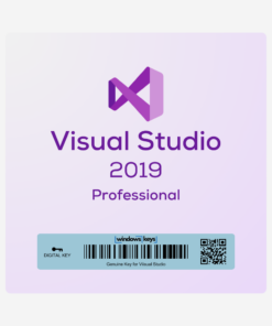 Visual Studio 2019 Pro License