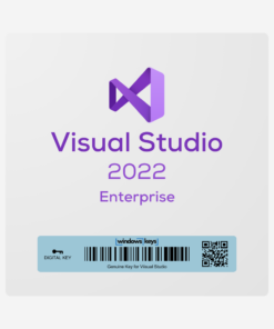 Visual Studio 2022 Enterprise License