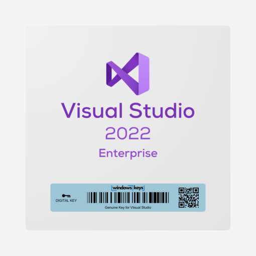 Visual Studio 2022 Enterprise License