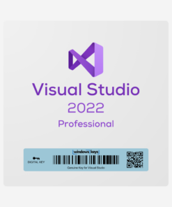 Visual Studio 2022 Pro License